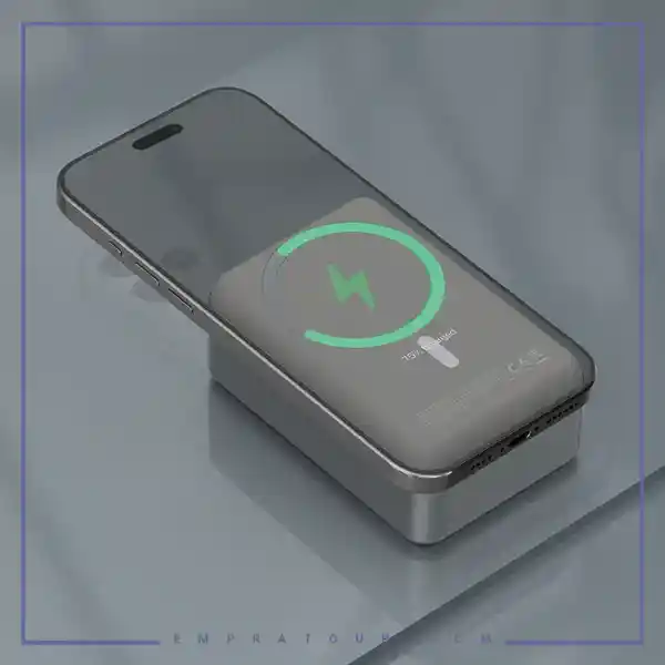 پاور بانک 3000 مگسیف پاورولوژیPowerology 30000 Power Bank PPBCHA81